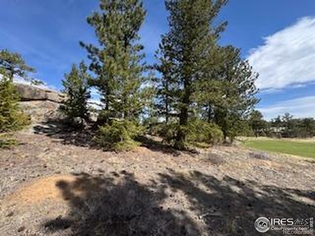 2835 Fox Acres Dr E, Red Feather Lakes, CO 80545