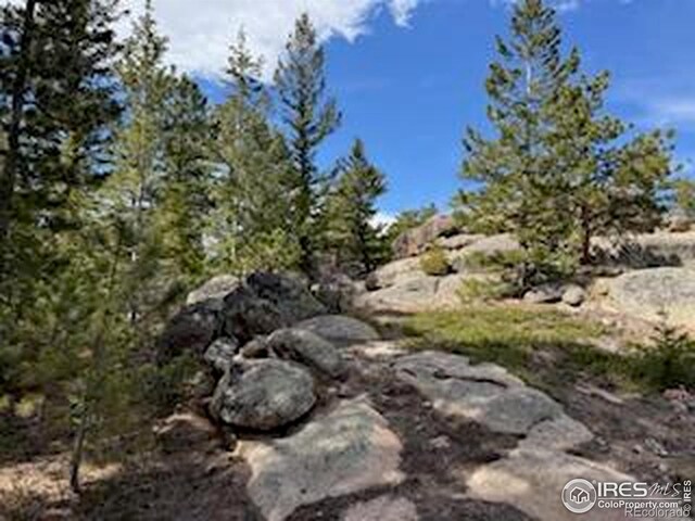 2835 Fox Acres Dr E, Red Feather Lakes, CO 80545