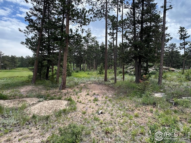2835 Fox Acres Dr E, Red Feather Lakes, CO 80545