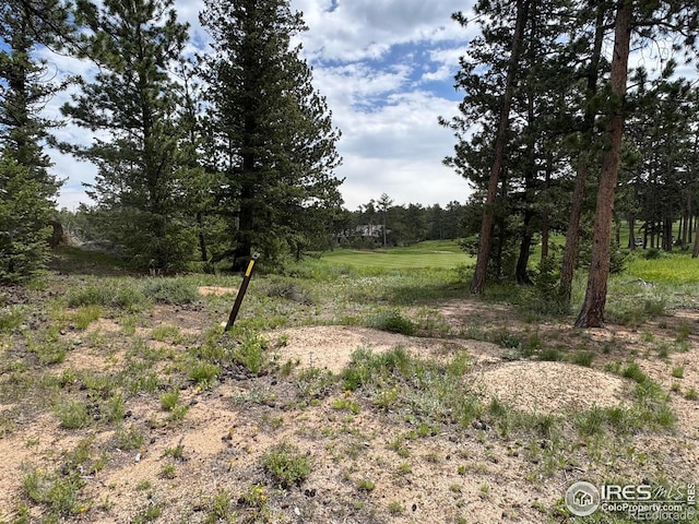 2835 Fox Acres Dr E, Red Feather Lakes, CO 80545