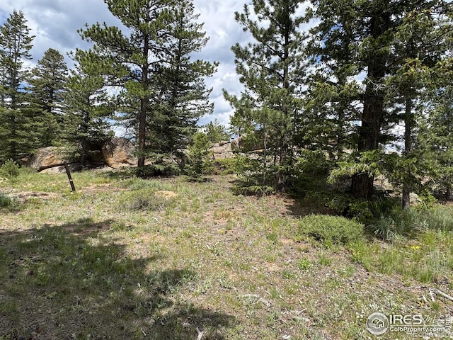 2835 Fox Acres Dr E, Red Feather Lakes, CO 80545