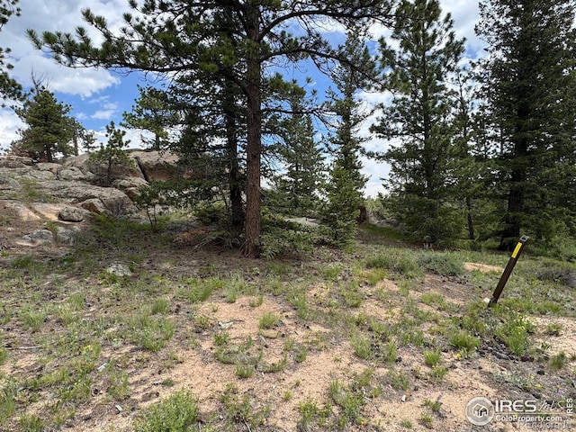 2835 Fox Acres Dr E, Red Feather Lakes, CO 80545