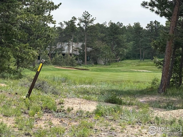 2835 Fox Acres Dr E, Red Feather Lakes, CO 80545