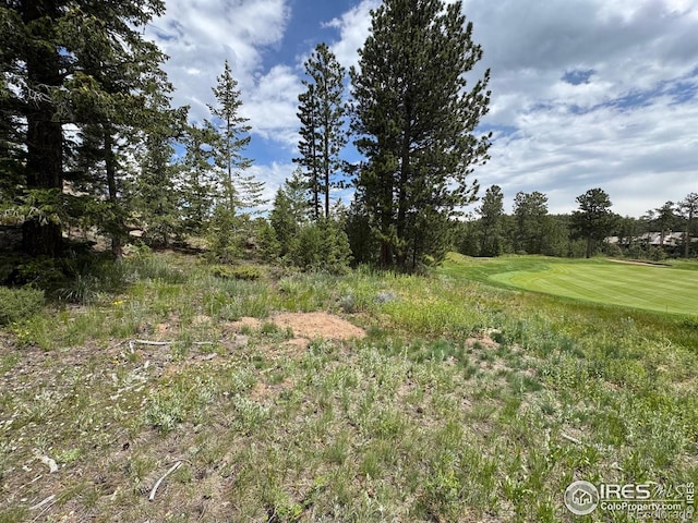 2835 Fox Acres Dr E, Red Feather Lakes, CO 80545