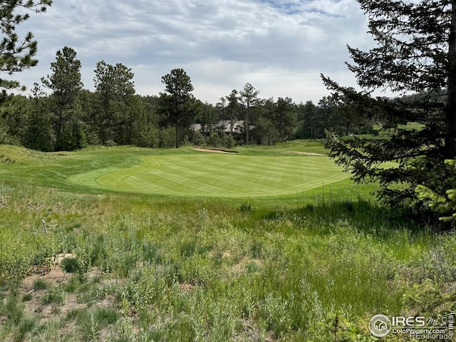 2835 Fox Acres Dr E, Red Feather Lakes, CO 80545