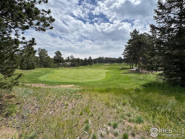 2835 Fox Acres Dr E, Red Feather Lakes, CO 80545