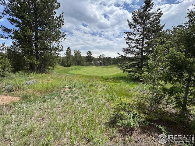 2835 Fox Acres Dr E, Red Feather Lakes, CO 80545