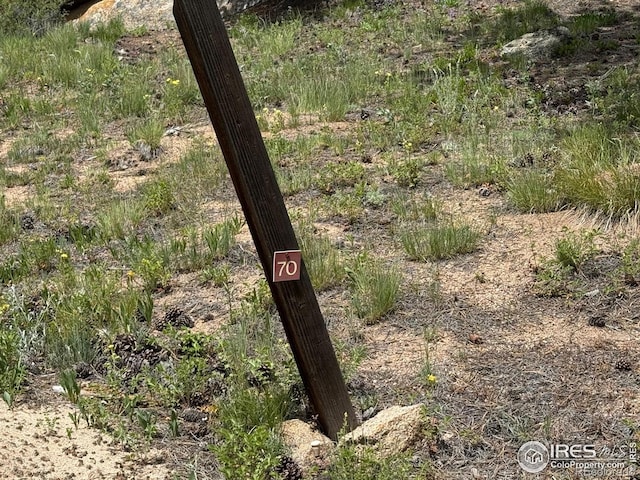 2835 Fox Acres Dr E, Red Feather Lakes, CO 80545