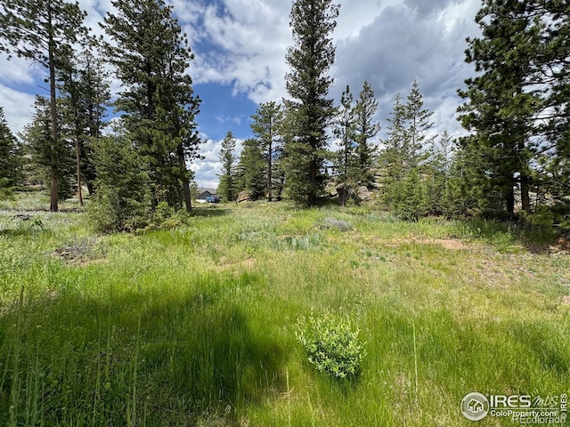 2835 Fox Acres Dr E, Red Feather Lakes, CO 80545