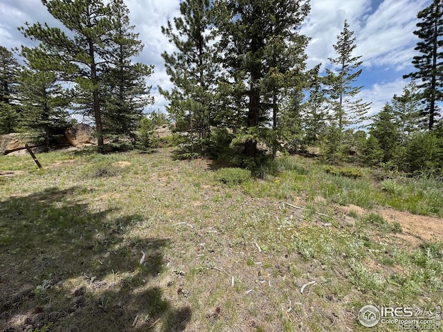 2835 Fox Acres Dr E, Red Feather Lakes, CO 80545