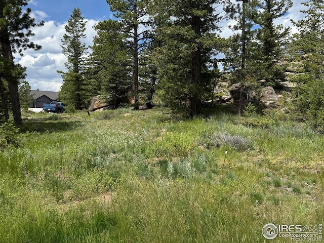 2835 Fox Acres Dr E, Red Feather Lakes, CO 80545