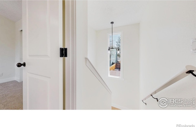 details featuring carpet and baseboards