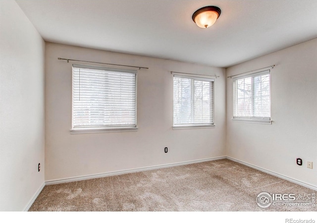 828 Kane Dr Unit 35, Longmont, CO 80501 - carpeted empty room featuring baseboards