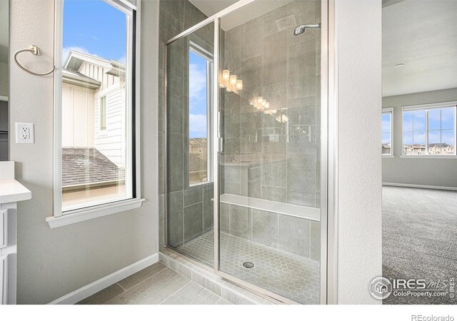 313 Orion Cir, Erie, CO 80516 - photo 24