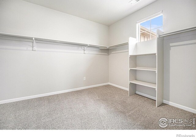 313 Orion Cir, Erie, CO 80516 - photo 26