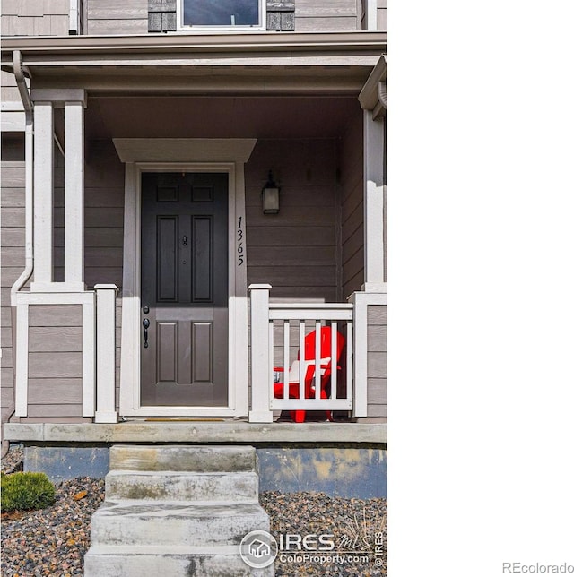 1365 Shale Dr, Erie, CO 80516 - view of exterior entry with covered porch