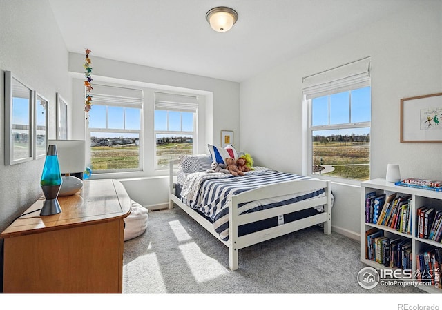 1365 Shale Dr, Erie, CO 80516 - bedroom with carpet floors and baseboards