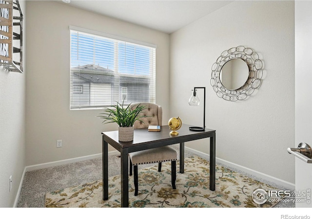111 Ambrose St, Erie, CO 80516 - photo 23
