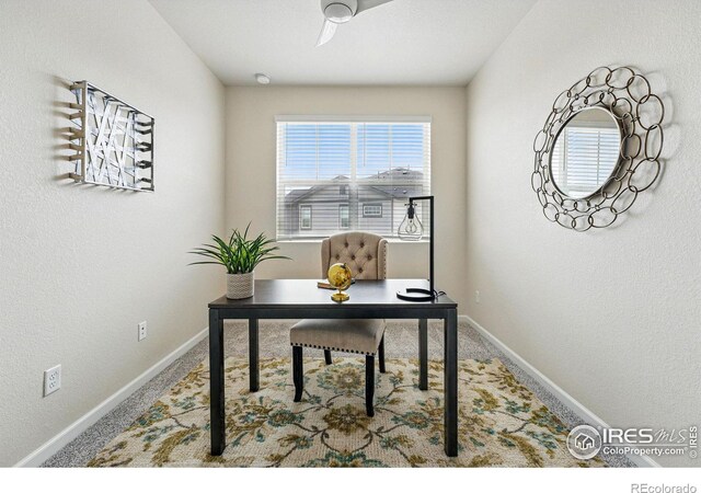 111 Ambrose St, Erie, CO 80516 - photo 24