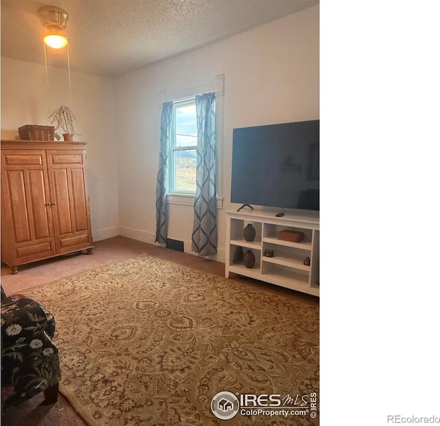 430 S 4th St, Victor, CO 80860 - living room featuring light carpet, a textured ceiling, and baseboards