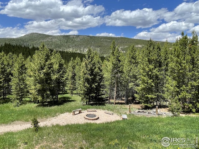 2864 Ottawa Way, Red Feather Lakes, CO 80545 - photo 7