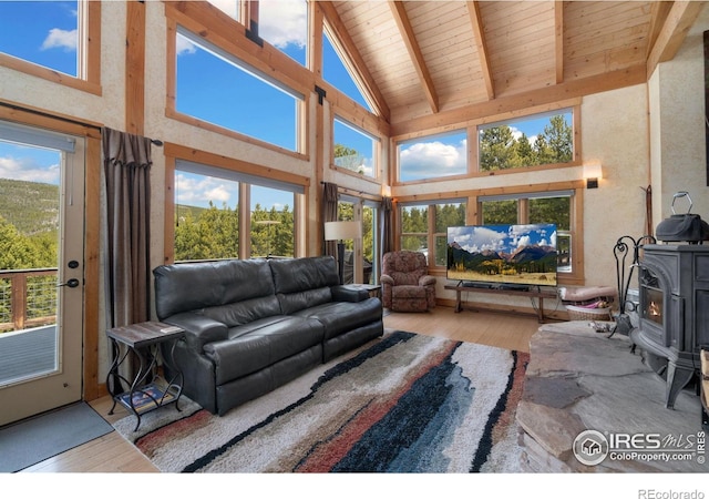 2864 Ottawa Way, Red Feather Lakes, CO 80545 - photo 20