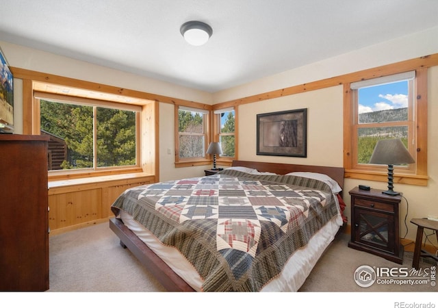 2864 Ottawa Way, Red Feather Lakes, CO 80545 - photo 26