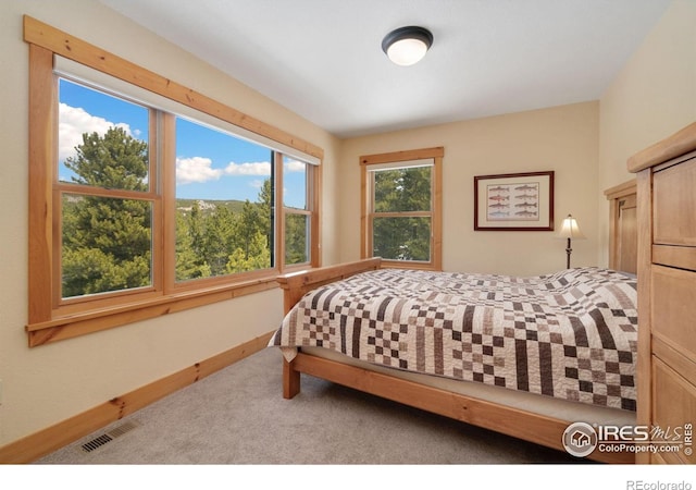 2864 Ottawa Way, Red Feather Lakes, CO 80545 - photo 29