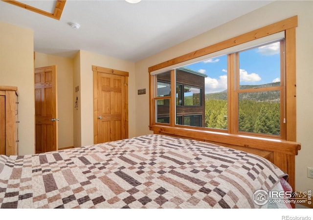 2864 Ottawa Way, Red Feather Lakes, CO 80545 - photo 30