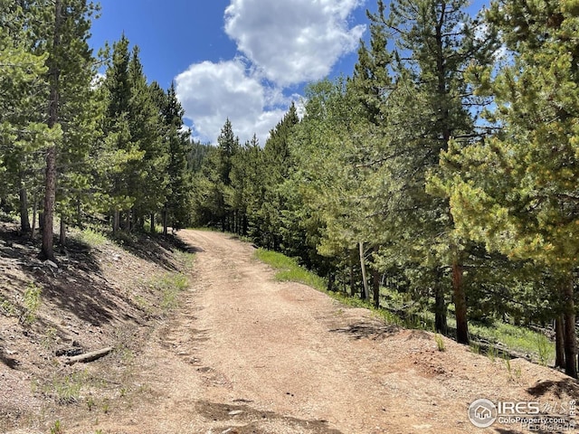 2864 Ottawa Way, Red Feather Lakes, CO 80545 - photo 6