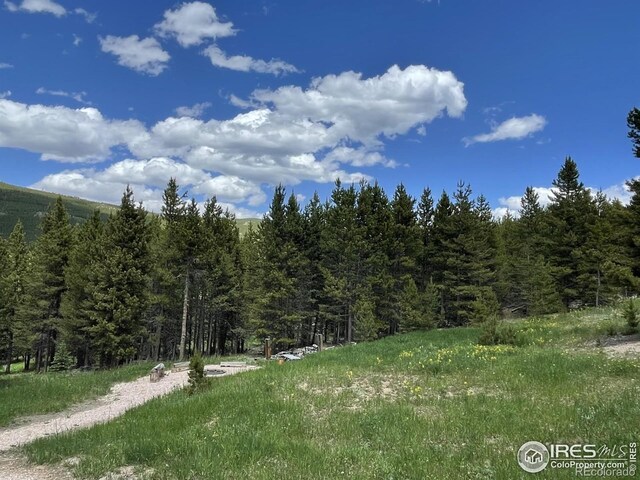 2864 Ottawa Way, Red Feather Lakes, CO 80545 - photo 8