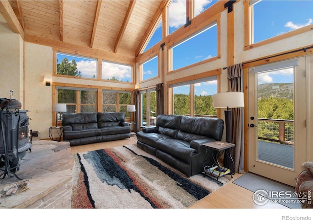2864 Ottawa Way, Red Feather Lakes, CO 80545 - photo 18