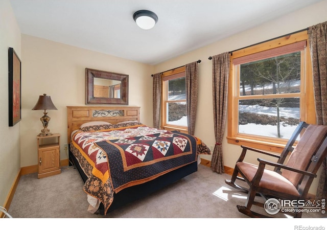 2864 Ottawa Way, Red Feather Lakes, CO 80545 - photo 32