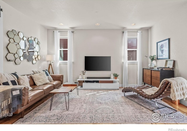 381 Pilsner St, Fort Collins, CO 80524 - living area with recessed lighting