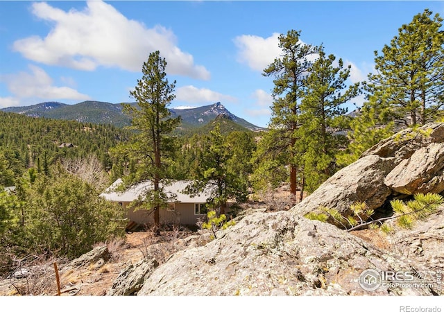 911 Ramshorn Dr, Estes Park, CO 80517 - photo 38