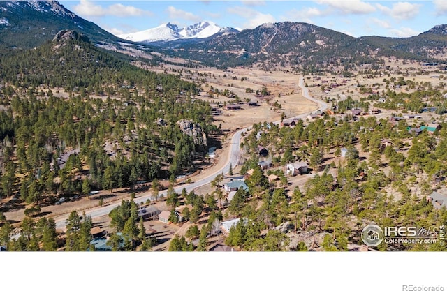 911 Ramshorn Dr, Estes Park, CO 80517 - photo 3