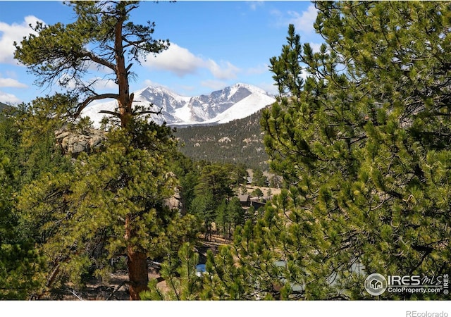 911 Ramshorn Dr, Estes Park, CO 80517 - photo 4