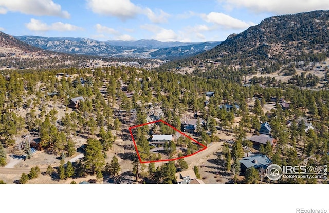 911 Ramshorn Dr, Estes Park, CO 80517 - photo 6
