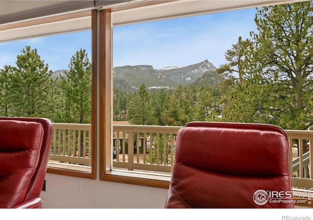 911 Ramshorn Dr, Estes Park, CO 80517 - photo 11