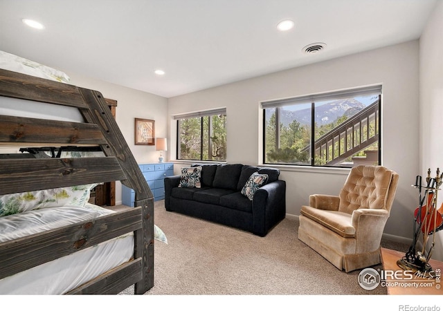 911 Ramshorn Dr, Estes Park, CO 80517 - photo 27