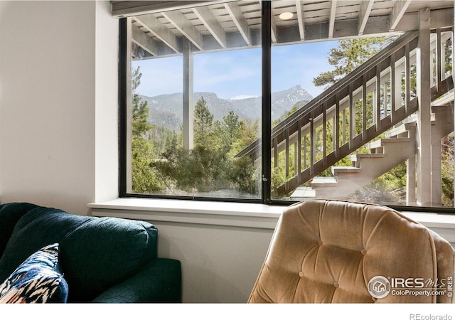 911 Ramshorn Dr, Estes Park, CO 80517 - photo 28