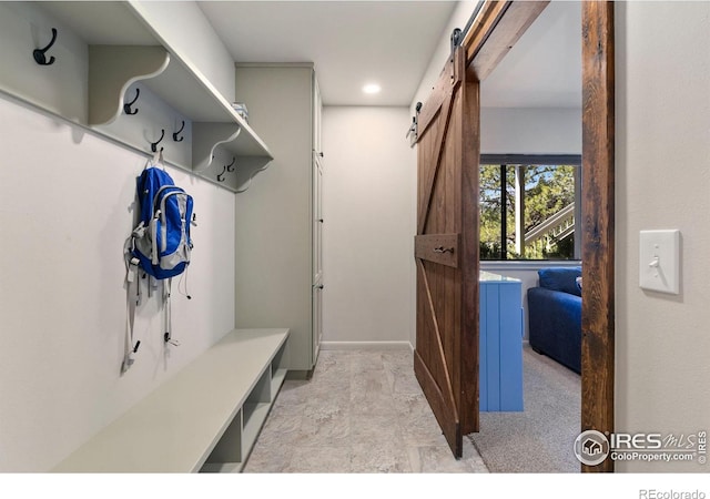 911 Ramshorn Dr, Estes Park, CO 80517 - photo 29