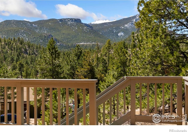 911 Ramshorn Dr, Estes Park, CO 80517 - photo 36