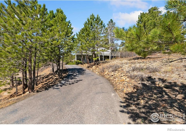 911 Ramshorn Dr, Estes Park, CO 80517 - photo 39