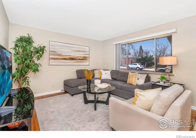 living room with baseboards and wood finished floors