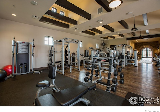 6701 Clovis Ct, Timnath, CO 80547 - gym with plenty of natural light, recessed lighting, and wood finished floors