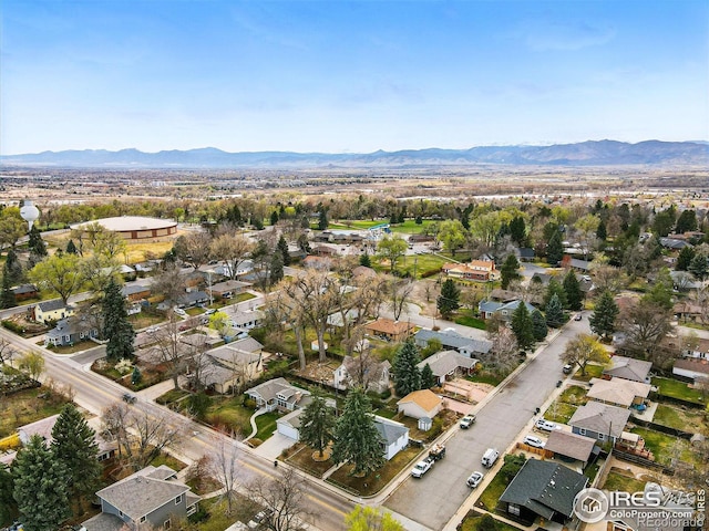 809 Sunset St, Longmont, CO 80501 - photo 37