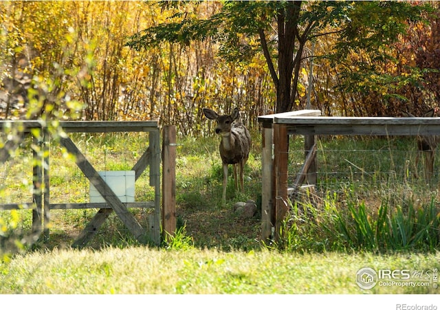 217 Park St, Lyons, CO 80540 - gate with fence