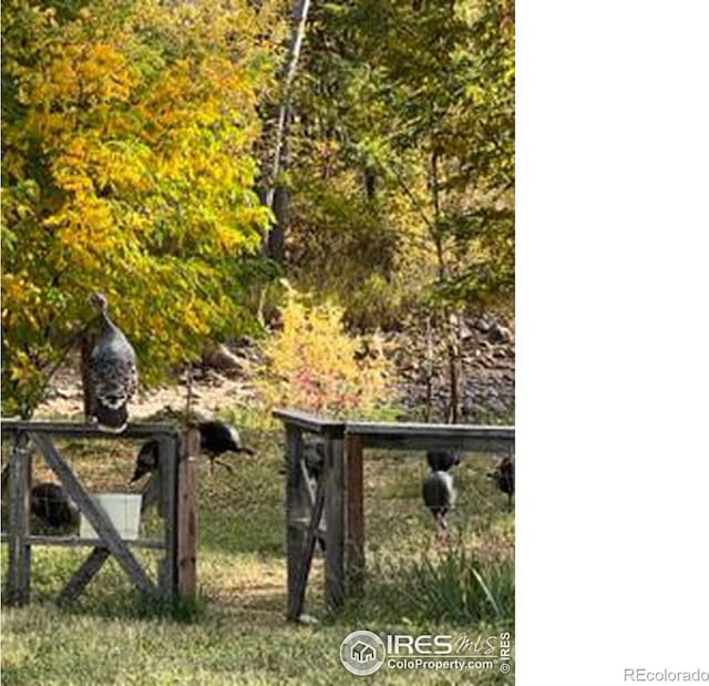 217 Park St, Lyons, CO 80540 - view of gate
