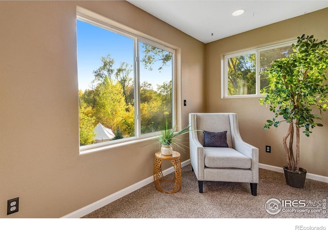 217 Park St, Lyons, CO 80540 - living area with plenty of natural light, carpet, and baseboards